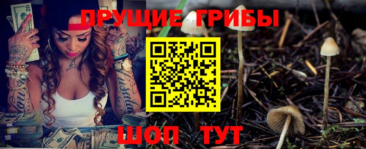 Псилоцибиновые грибы GOLDEN TEACHER  продажа наркотиков  Псилоцибиновые грибы GOLDEN TEACHER  Улан-Удэ  Вход с VPN 