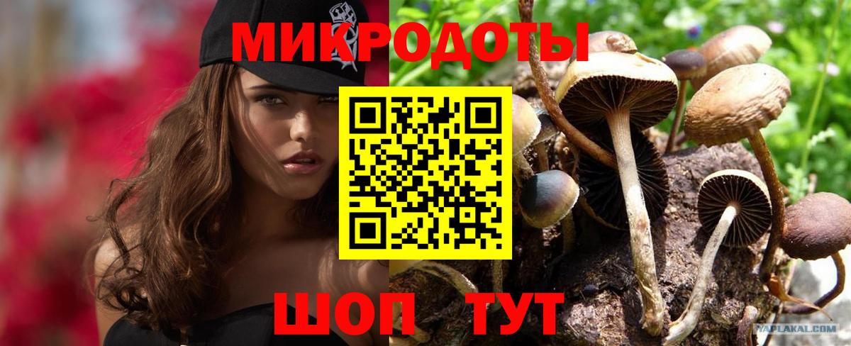 Псилоцибиновые грибы Cubensis Улан-Удэ